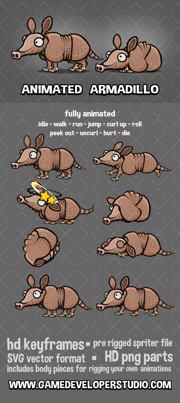 Animated armadillo