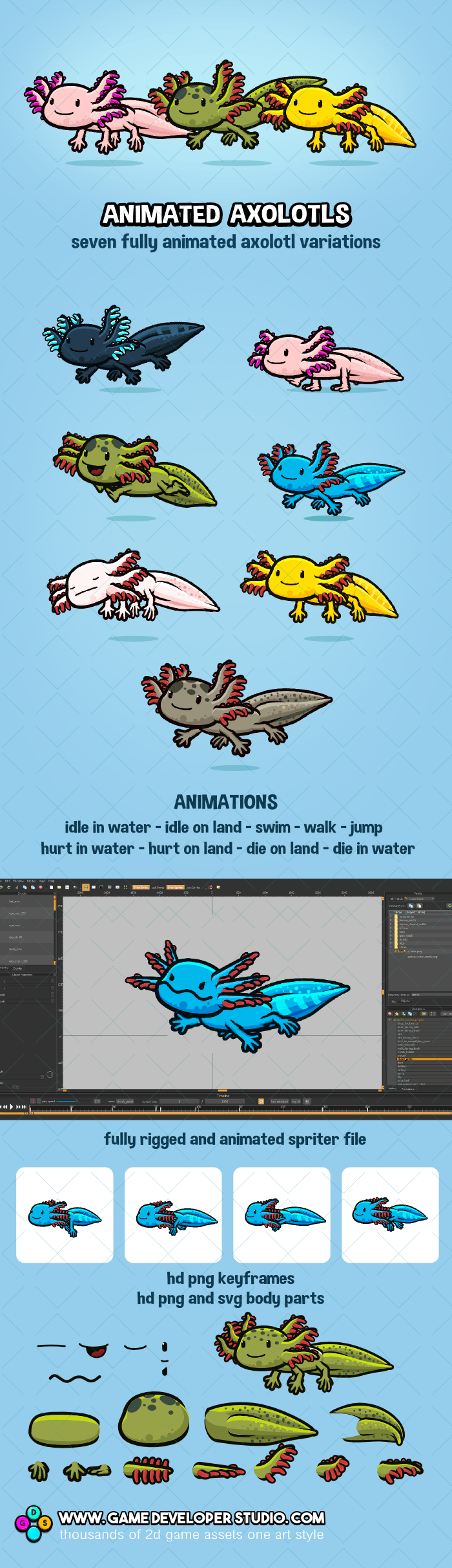 Animated axolotl character