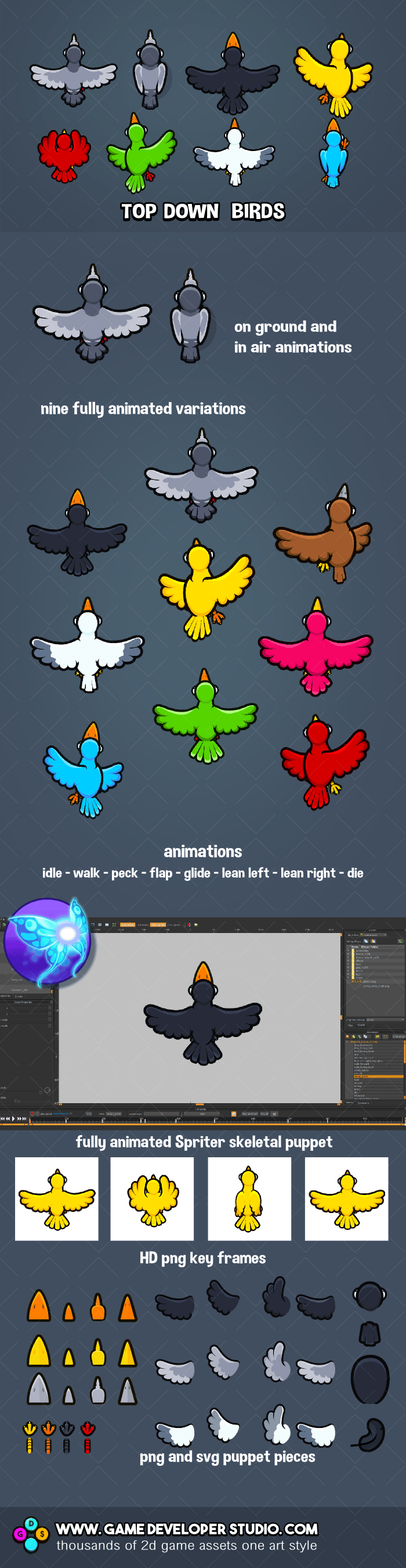 Top-down birds game sprite pack