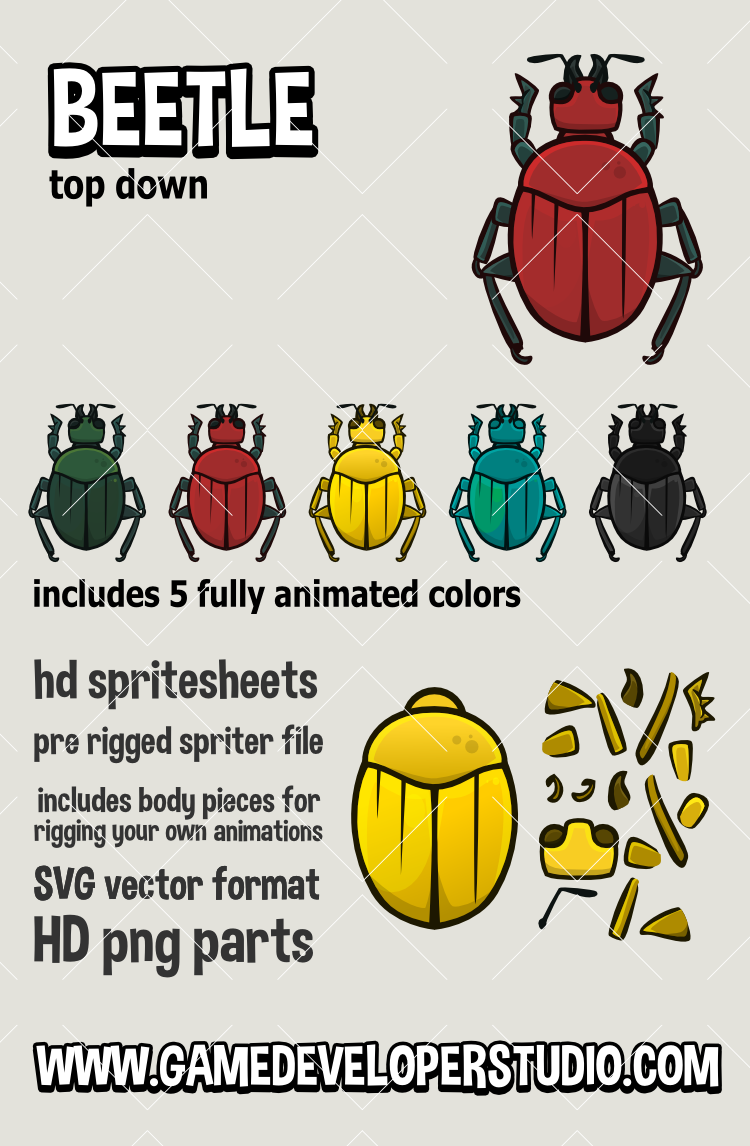 Top down beetle game asset