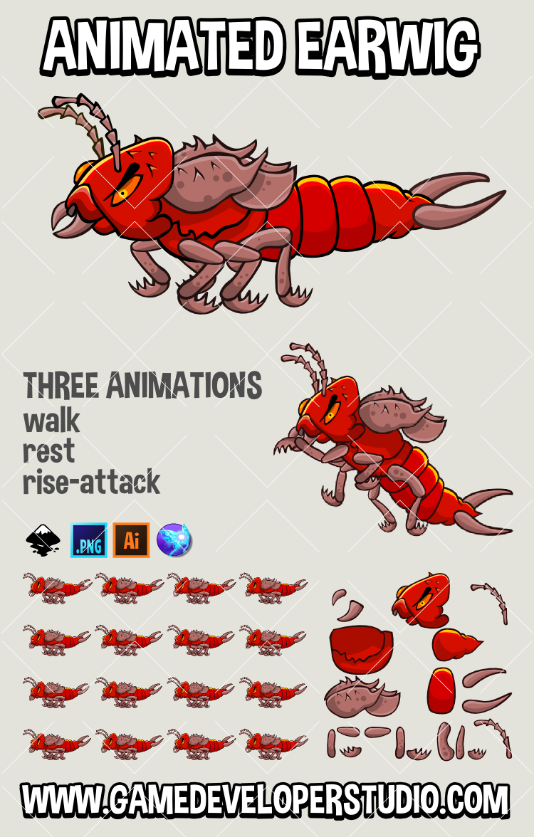 animated earwig 