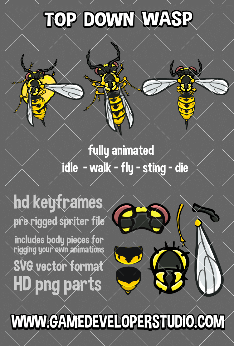 top down wasp game asset